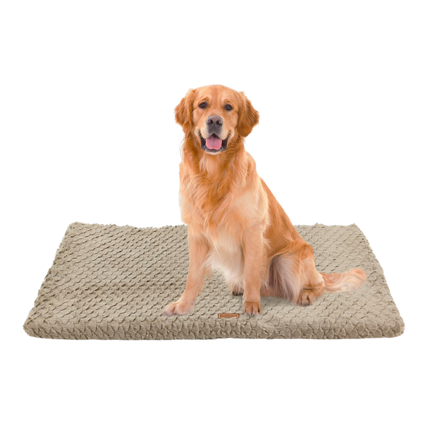 Beige Orthopedic Dog Bed with Washable Cover