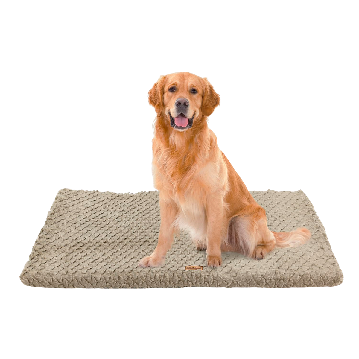 Beige Orthopedic Dog Bed with Washable Cover