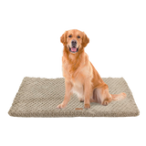 Beige Orthopedic Dog Bed with Washable Cover