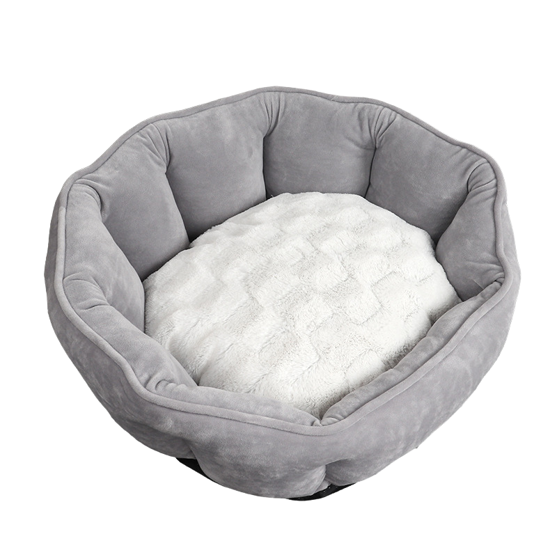 Shell-Shaped Pet Bed for Cozy Comfort and Relaxation