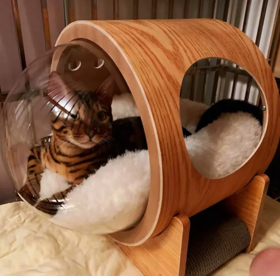 Cozy Clear Dome Pet Bed for Cats and Dogs