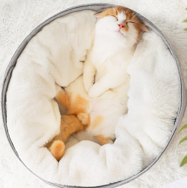 Round Felt & Plush Pet Bed for Cats and Small Dogs