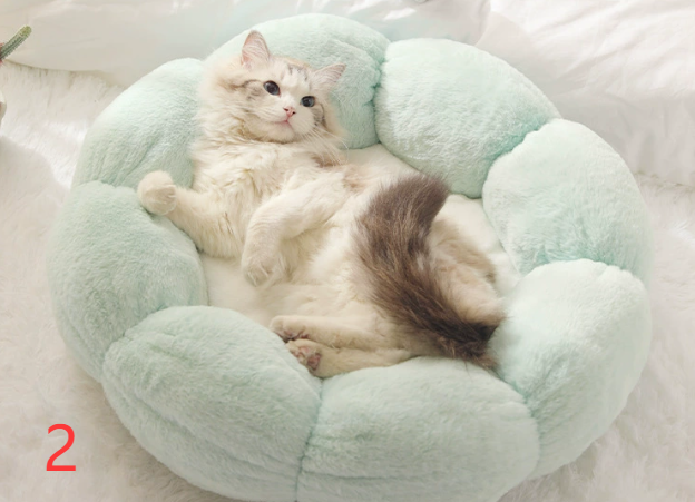 Cozy Calming Pet Bed for Indoor Pets