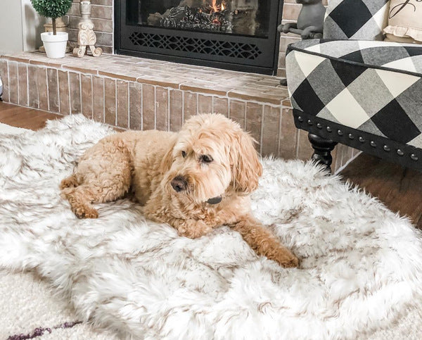Supportive Faux Fur Dog Bed for Comfortable Rest