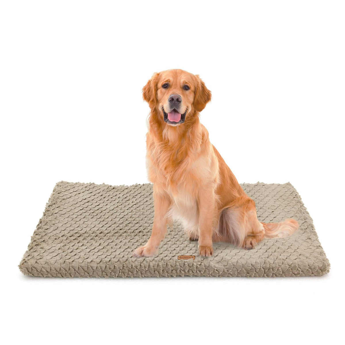 Beige Orthopedic Dog Bed with Washable Cover