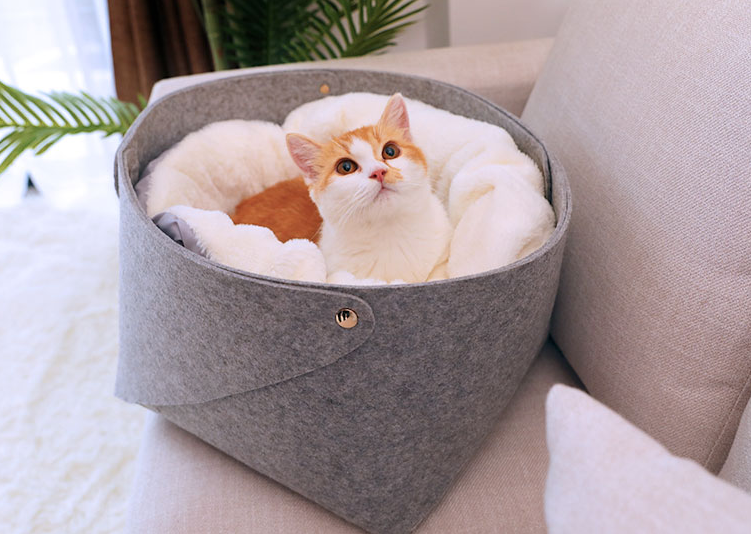 Round Felt & Plush Pet Bed for Cats and Small Dogs