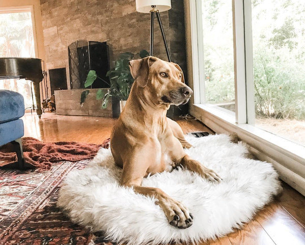 Supportive Faux Fur Dog Bed for Comfortable Rest