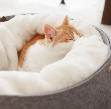 Round Felt & Plush Pet Bed for Cats and Small Dogs