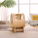 Cozy Clear Dome Pet Bed for Cats and Dogs
