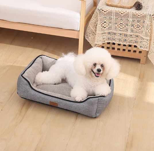 Elevated Pet Bed for Cats and Small Dogs