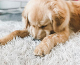 Supportive Faux Fur Dog Bed for Comfortable Rest